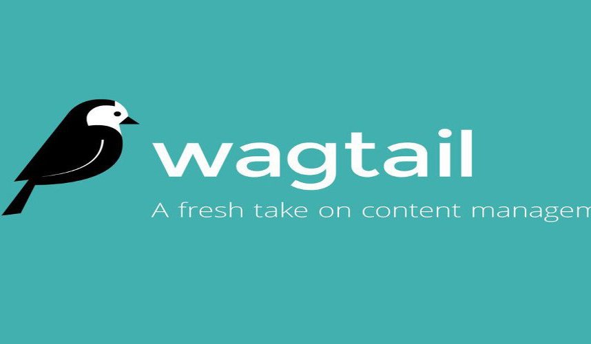 wagtail.jpg