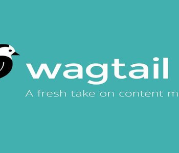 wagtail.jpg